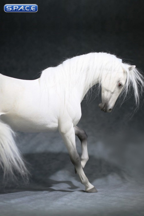 1/6 Scale Akhal Teke Horse (white)