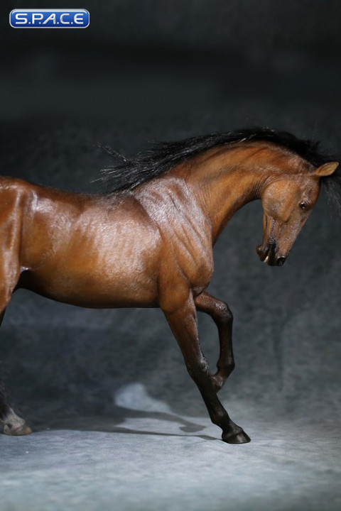 1/6 Scale Akhal Teke Horse (brown)