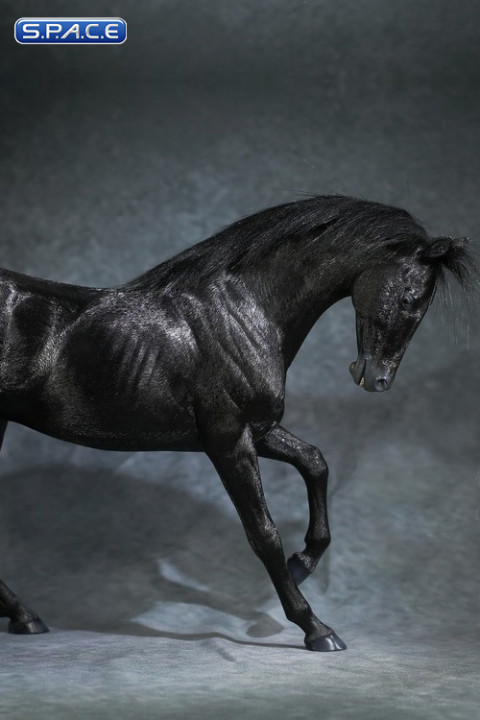 1/6 Scale Akhal Teke Horse (black)