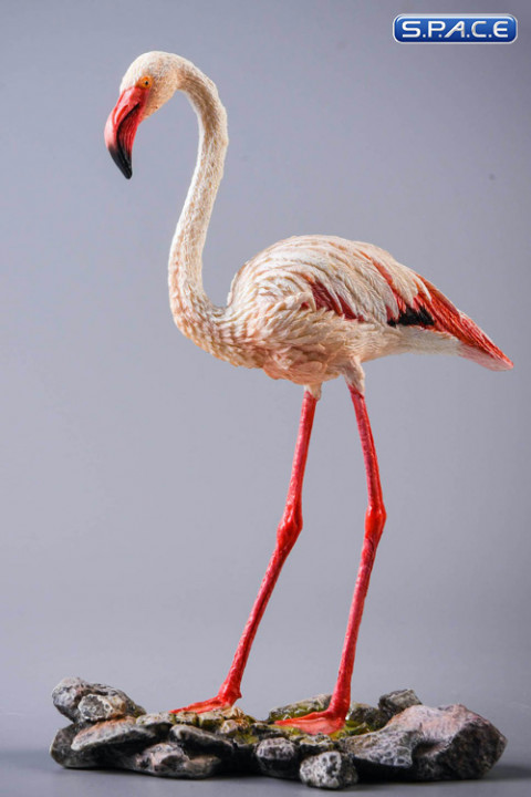 1/6 Scale Flamingo (white)