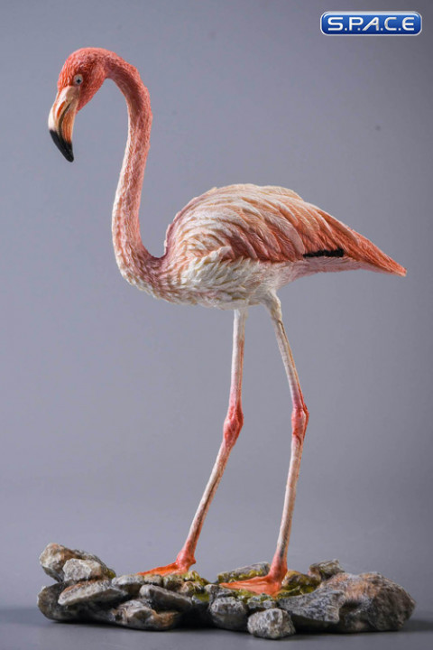 1/6 Scale Flamingo (pink)