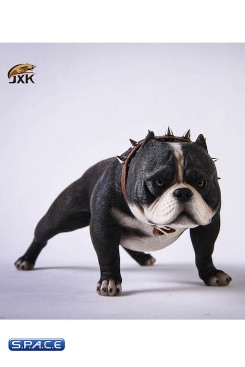 1/6 Scale Bulldog (white/black)