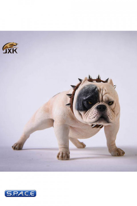 1/6 Scale Bulldog (white)