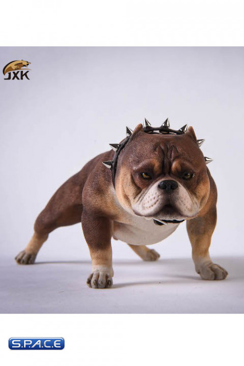 1/6 Scale Bulldog (dark brown)