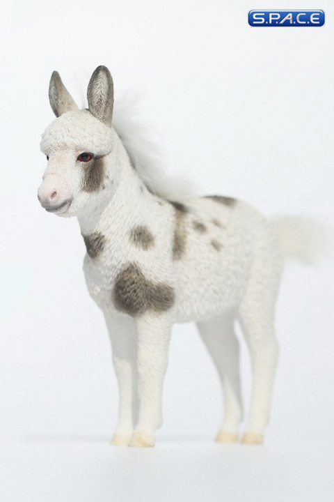 1/6 Scale Dwarf Donkey Foal (black/white)