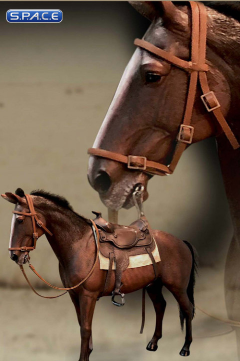 1/6 Scale Cowboy Horse