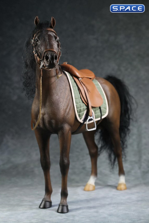 1/6 Scale Arabian Horse (brown)