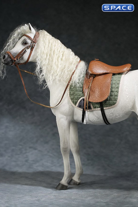 1/6 Scale Arabian Horse (white)