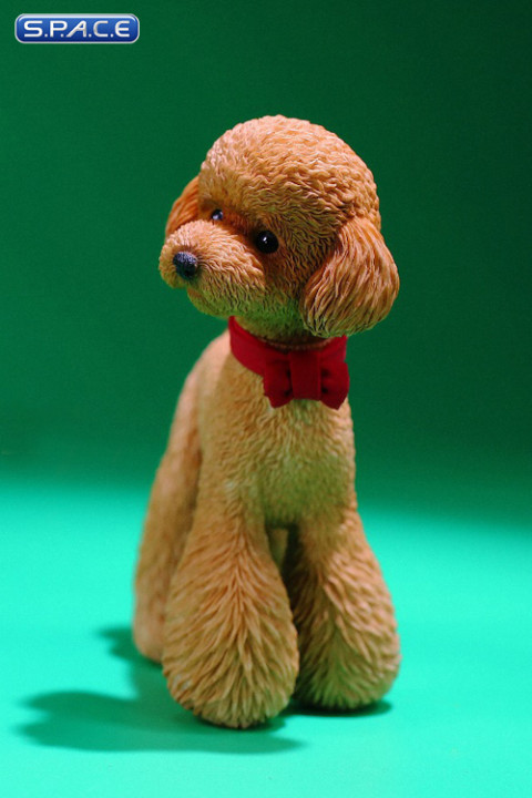1/6 Scale Toy Poodle (red)