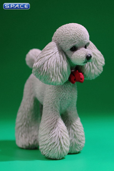 1/6 Scale Toy Poodle (grey)