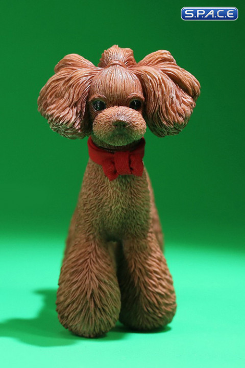 1/6 Scale Toy Poodle (brown)