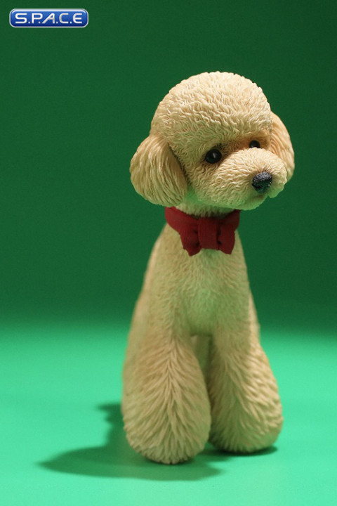1/6 Scale Toy Poodle (light gold)