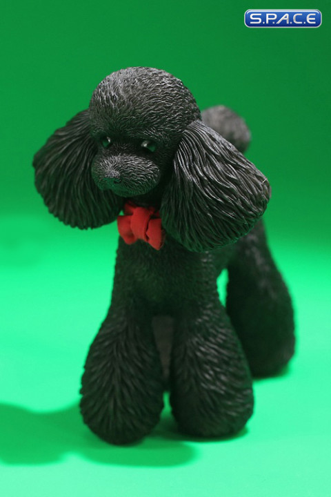 1/6 Scale Toy Poodle (black)