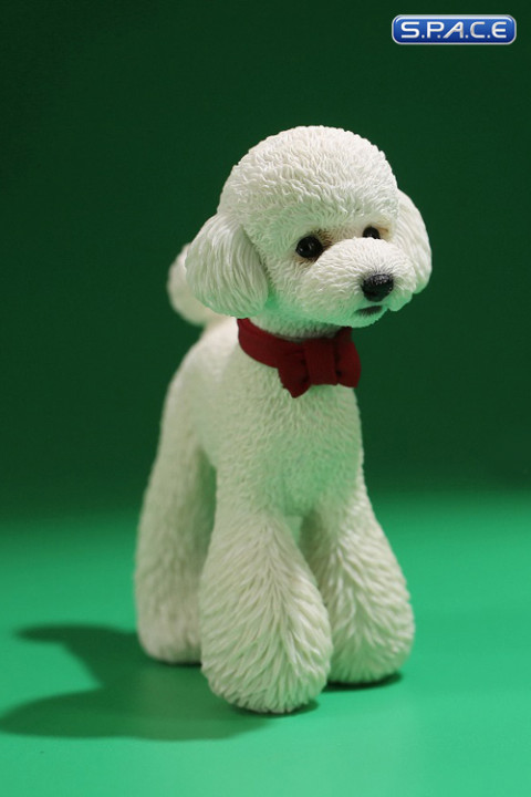 1/6 Scale Toy Poodle (white)