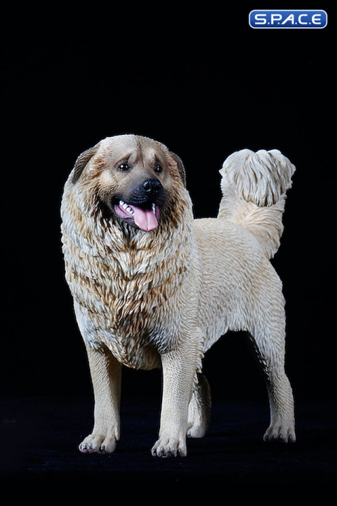 1/6 Scale Caucasian Sheepdog (beige)