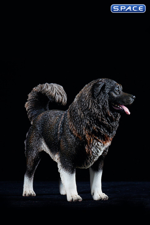 1/6 Scale Caucasian Sheepdog (black)