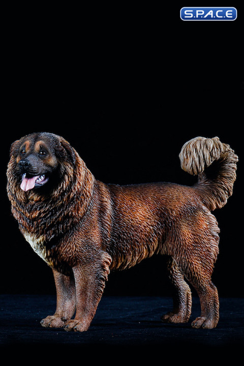 1/6 Scale Caucasian Sheepdog (dark brown)