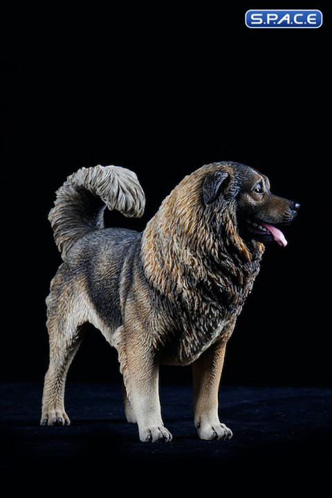 1/6 Scale Caucasian Sheepdog (black/brown)