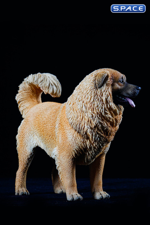 1/6 Scale Caucasian Sheepdog (brown)
