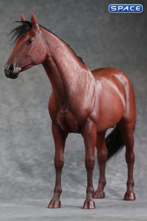 1/6 Scale Thoroughbred Horse (brown)
