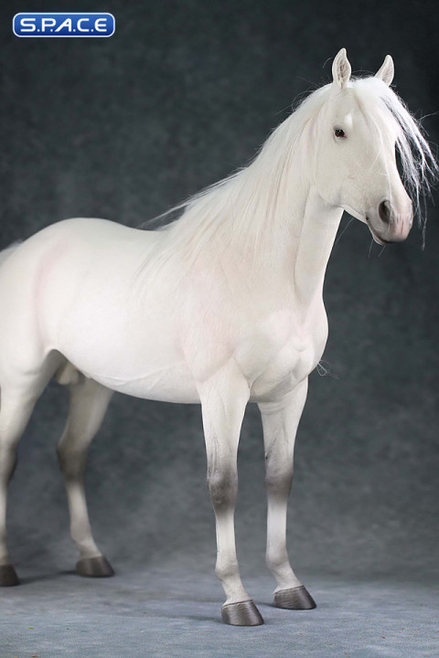 1/6 Scale Thoroughbred Horse (white)