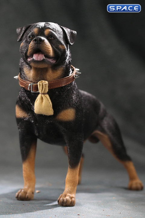 1/6 Scale Rottweiler 2.0 (black/dark brown)