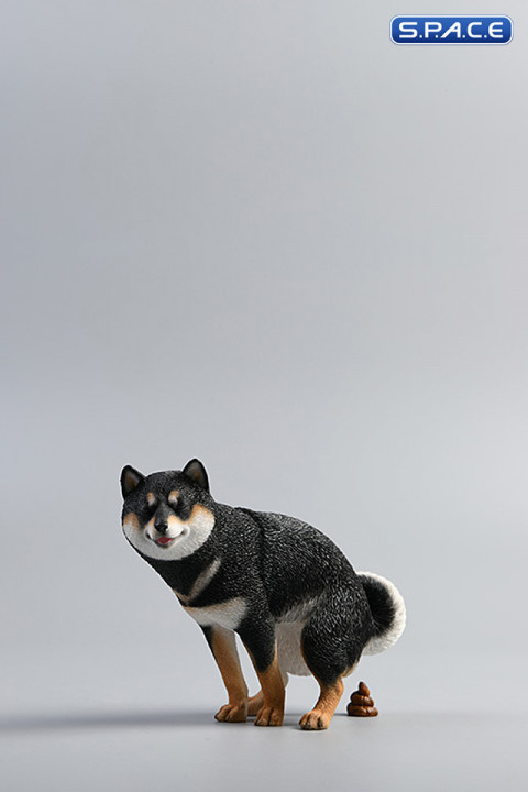 1/6 Scale Shiba Inu half squat (black)