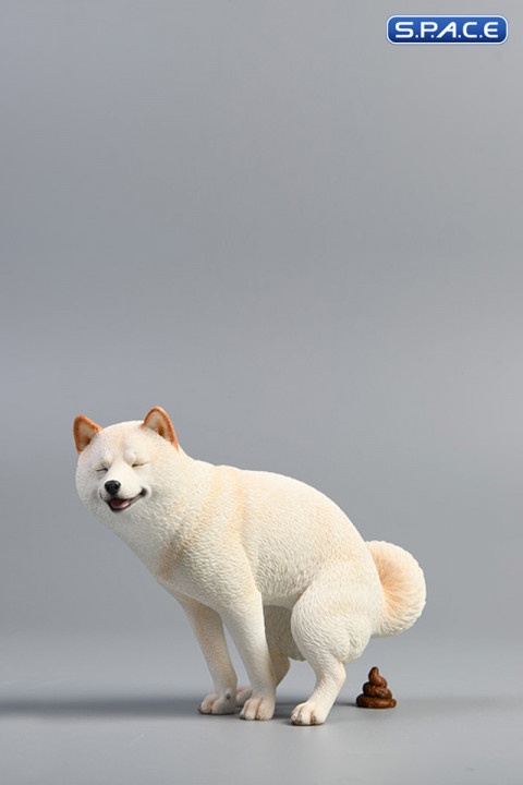 1/6 Scale Shiba Inu half squat (white)