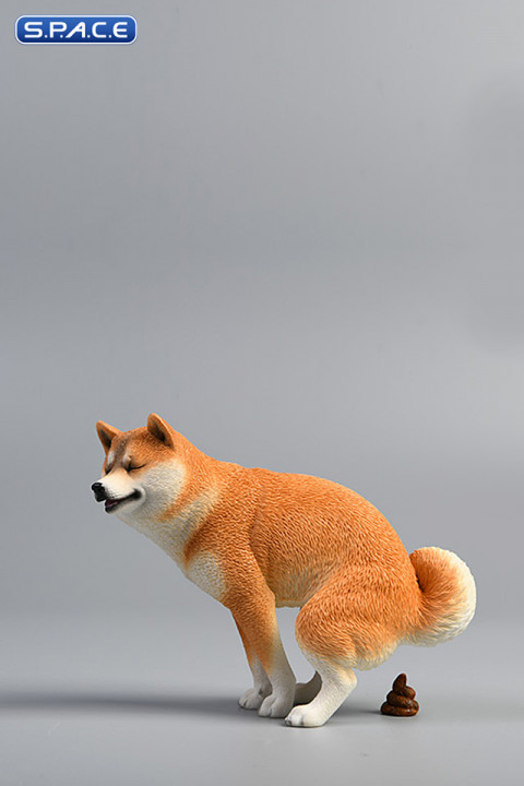 1/6 Scale Shiba Inu half squat (brown)