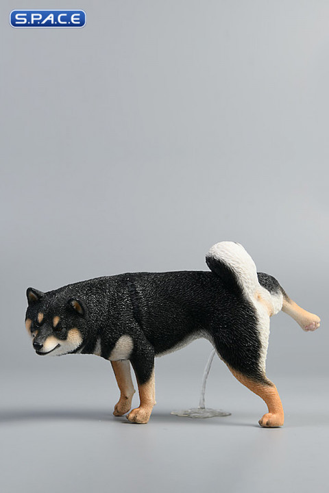 1/6 Scale Shiba Inu leg lift (black)