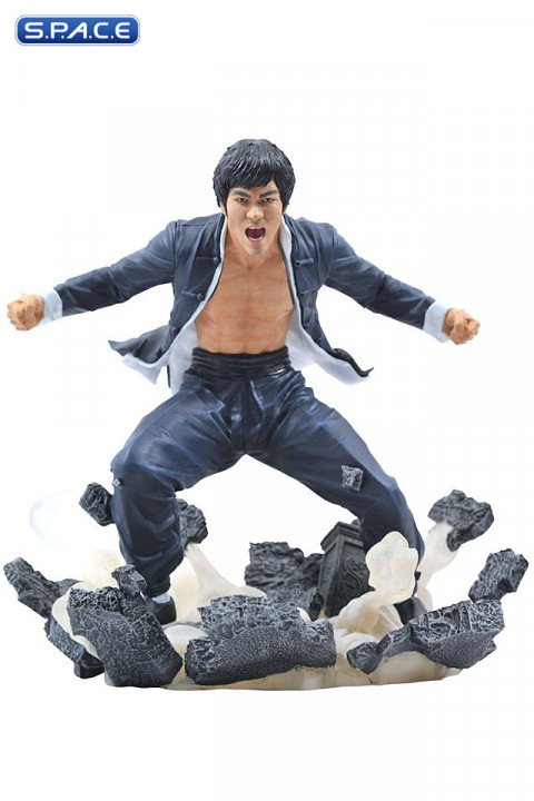 Bruce Lee Earth Gallery PVC Statue (Bruce Lee)