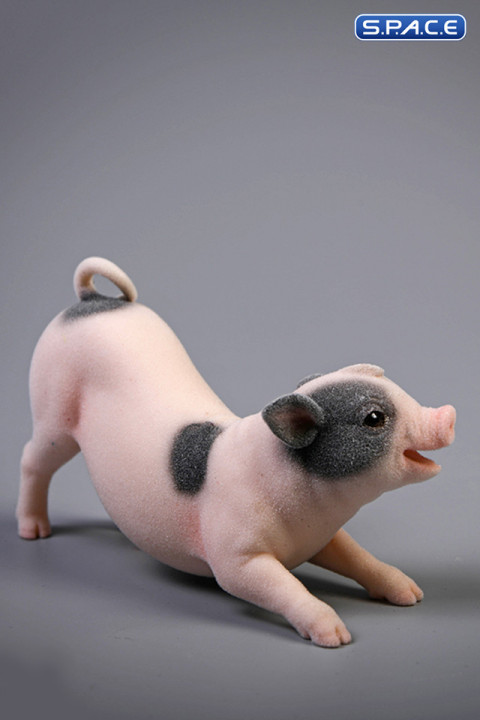 1/6 Scale Little Pig A1