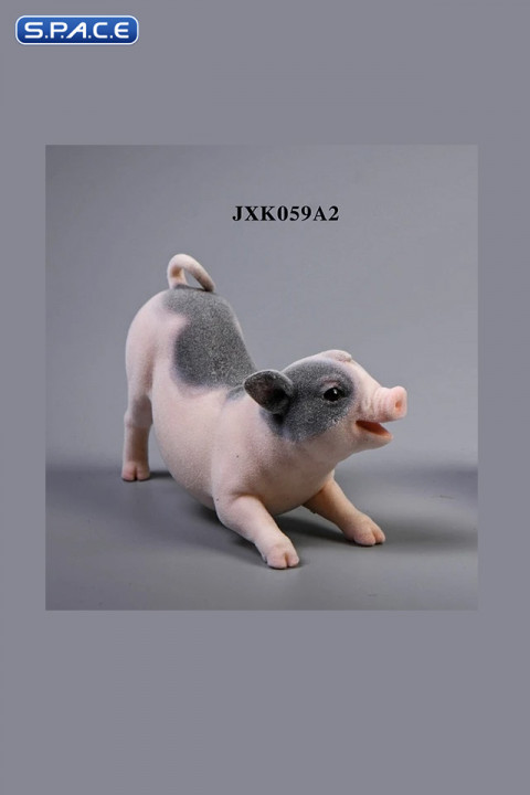 1/6 Scale Little Pig A2