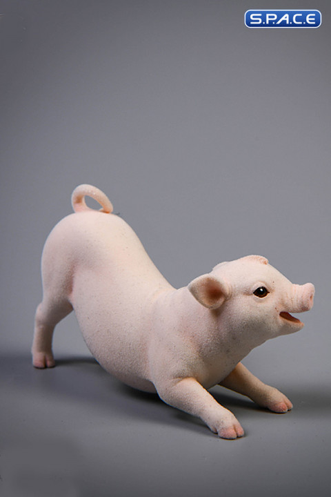 1/6 Scale Little Pig A3