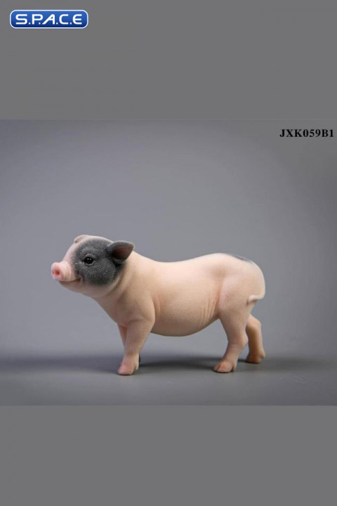 1/6 Scale Little Pig B1