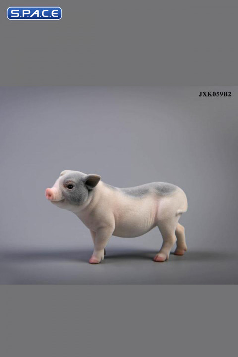 1/6 Scale Little Pig B2