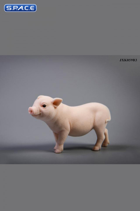 1/6 Scale Little Pig B3