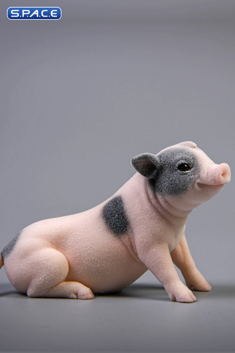 1/6 Scale Little Pig C1