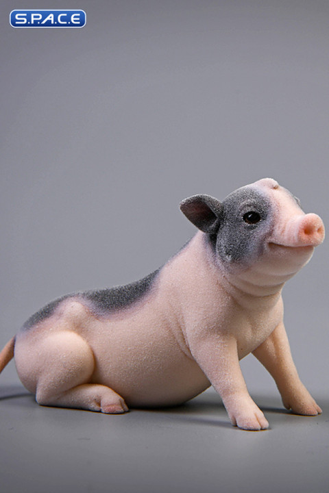 1/6 Scale Little Pig C2