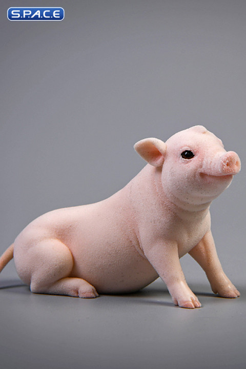 1/6 Scale Little Pig C3