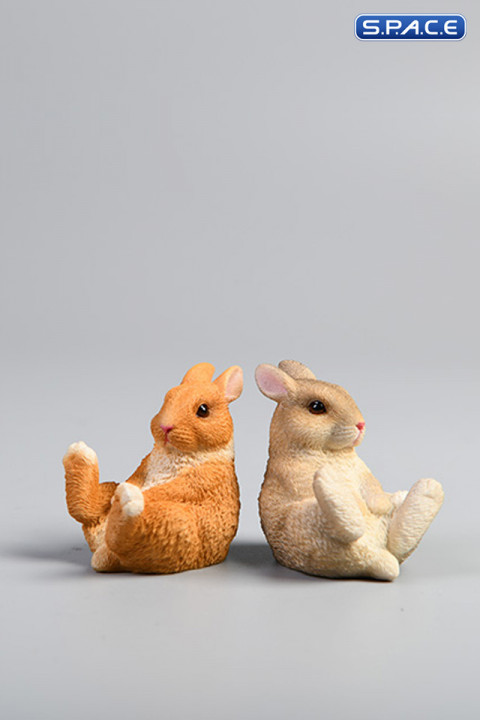 1/6 Scale Dwarf Rabbit Set B