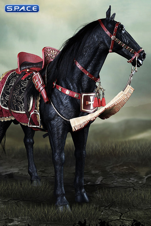 1/6 Scale Hucul Horse