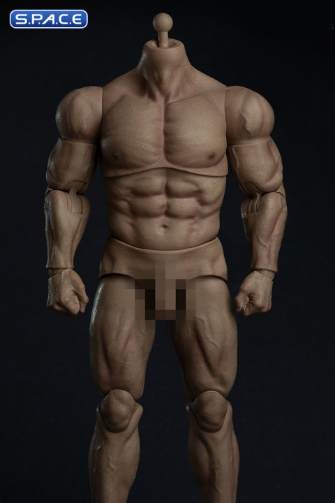 1/6 Scale Durable Male Body AT030