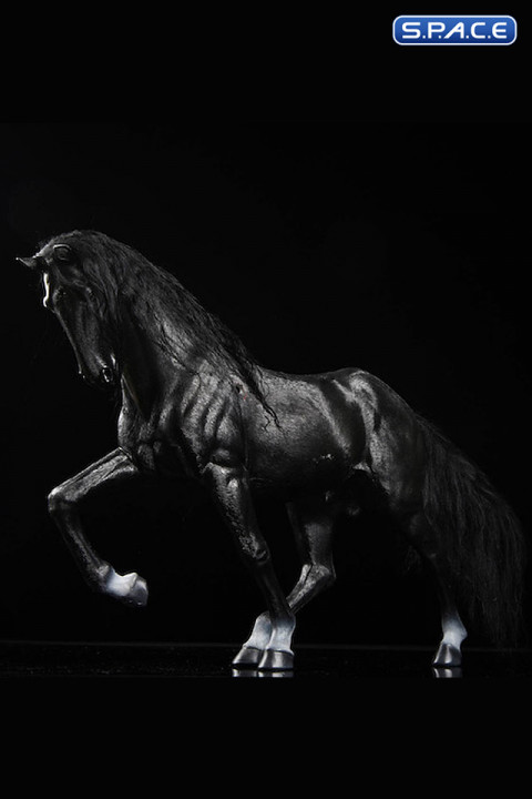 1/6 Scale The black Horse