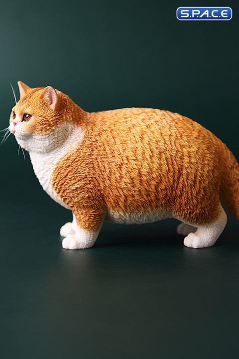 1/6 Scale Fat Cat (red)