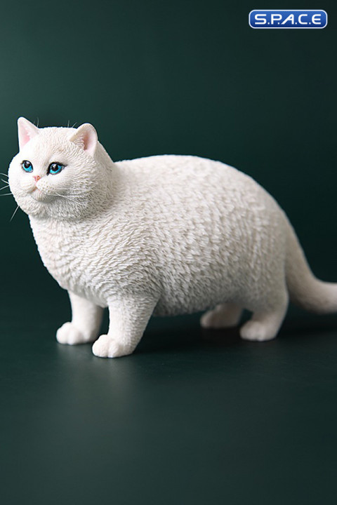 1/6 Scale Fat Cat (white)