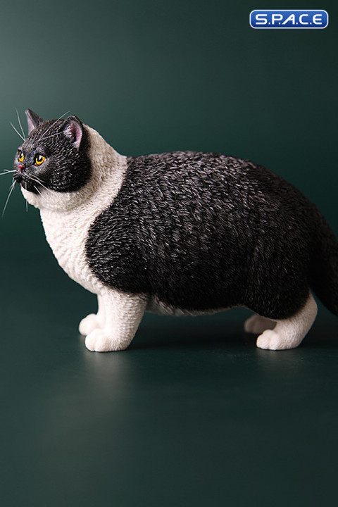 1/6 Scale Fat Cat (black)