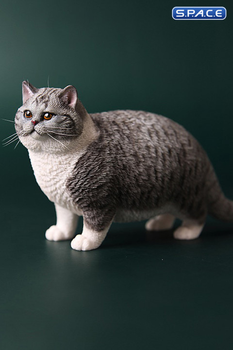 1/6 Scale Fat Cat (dark grey)