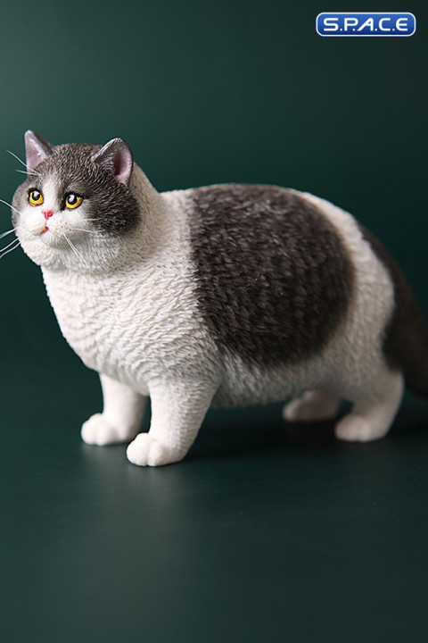 1/6 Scale Fat Cat (grey/white)