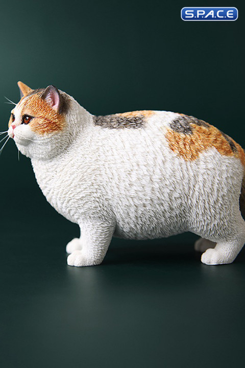 1/6 Scale Fat Cat (tricolor)